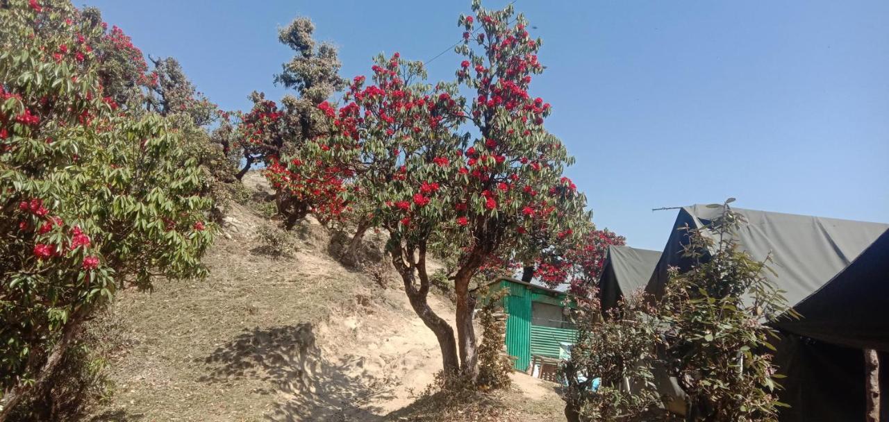 Chandarshila Hike Homestay Ukhimath المظهر الخارجي الصورة