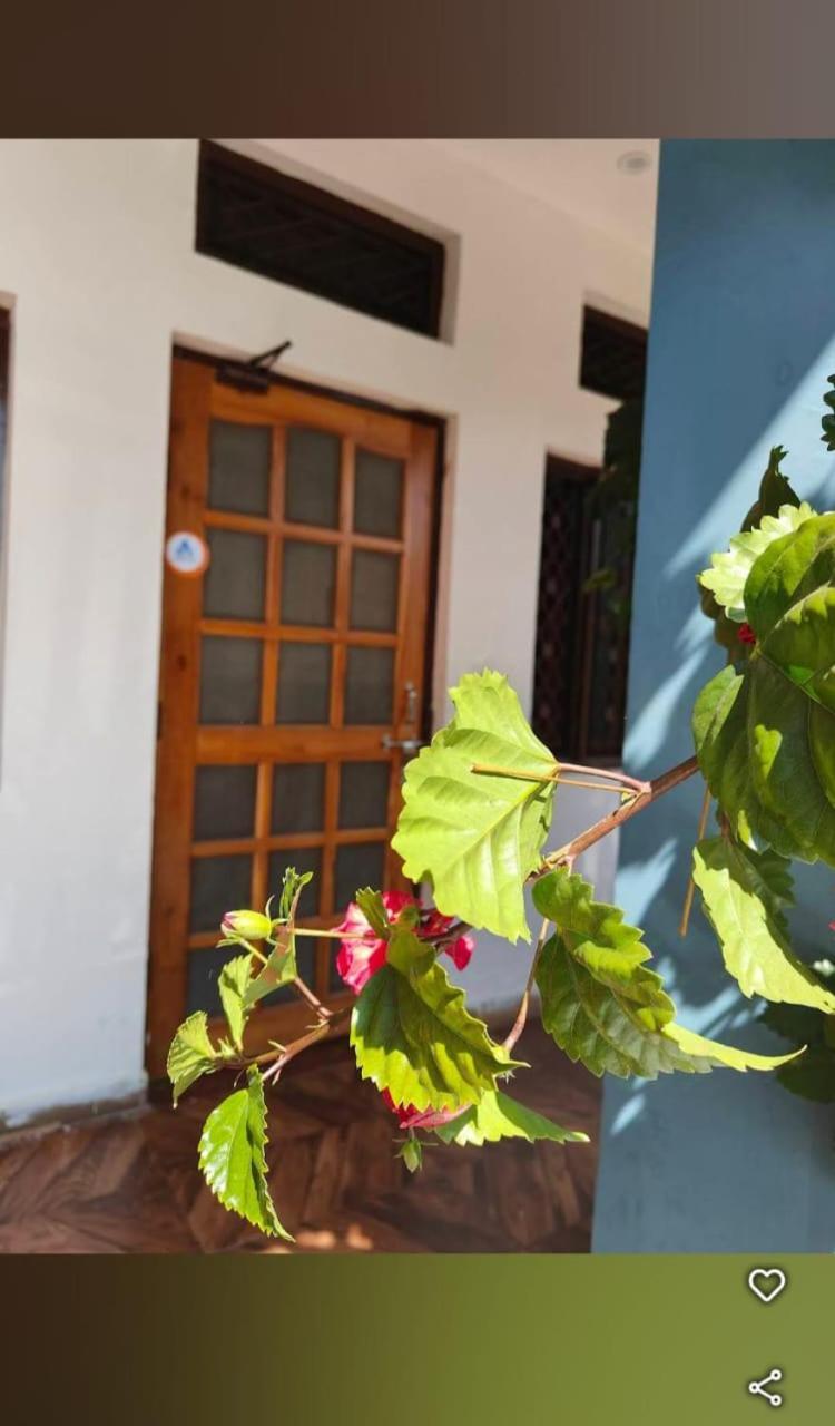 Chandarshila Hike Homestay Ukhimath المظهر الخارجي الصورة